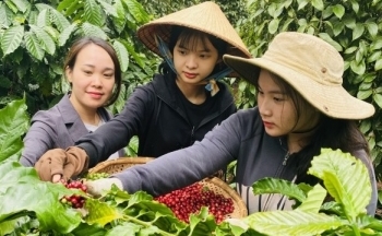 Doanh nghiệp Việt chủ động đầu tư công nghệ, đáp ứng thị trường EU