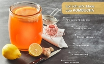 Trà Kombucha là gì? Lợi ích của trà Kombucha với sức khỏe