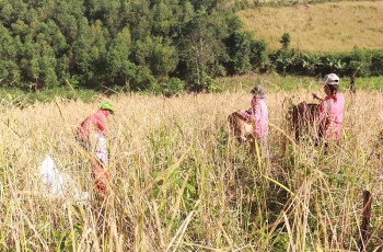 Khánh Hòa: Tập trung nguồn lực đầu tư cho miền núi