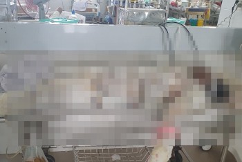 Ninh Thuận: Bố tẩm xăng đốt nhà khiến con nhỏ 1 tháng tuổi tử vong