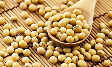 Giá đậu tương giảm nhẹ, dầu đậu tương biến động mạnh