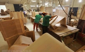 Cảnh báo một số sản phẩm có nguy cơ bị điều tra phòng vệ thương mại