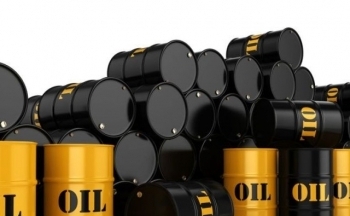 Giá xăng dầu đồng loạt giảm mạnh cao nhất gần 1.800 đồng/lít: Vì sao?