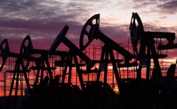 Giá dầu nối dài đà giảm trước báo cáo EIA, phe bán áp đảo trên thị trường nông sản