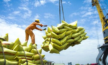 Một quốc gia chi tiền gấp 53 lần mua gạo Việt, thành khách hàng lớn nhất