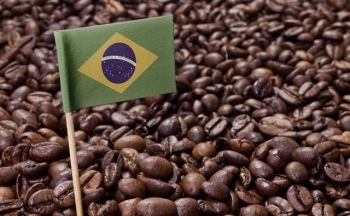 Giá cà phê khởi sắc khi xuất khẩu tháng 9 bất ngờ giảm tại Brazil