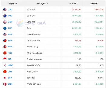 Tỷ giá USD chiều nay 12/10/2023: Giá đô hôm nay, USD chợ đen, USD VBC tiếp tục tăng giá