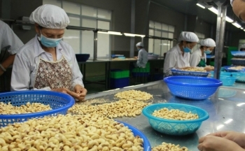 Algeria nới lỏng chính sách hạn chế nhập khẩu, cơ hội cho hàng Việt Nam