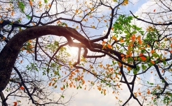 Dự báo thời tiết Hà Nội ngày mai 15/10/2023: Hà Nội ngày hửng nắng, se lạnh về đêm