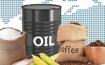 Giá dầu tăng mạnh tác động lớn đến nhóm nguyên liệu công nghiệp