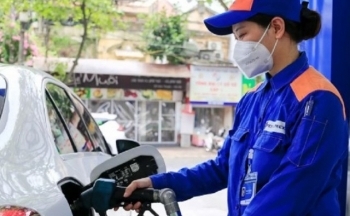 Giá xăng dầu hôm nay ngày 15/10/2023: Giá dầu WTI, dầu Brent lập đỉnh