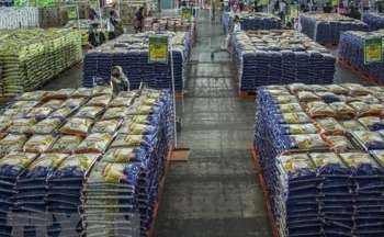 Thị trường gạo “án binh” chờ quyết định của Ấn Độ về thuế xuất khẩu
