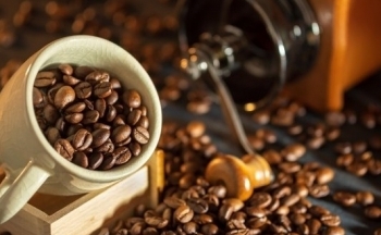 Giá cà phê mới nhất ngày 15/10/2023: Thị trường trong nước tăng đến 300 đồng/kg