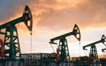 Giá xăng dầu hôm nay ngày 16/10/2023: Giá dầu WTI, dầu Brent bắt đầu có dấu hiệu suy giảm