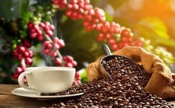 Brazil xuất khẩu 2 triệu bao cà phê trong 2 tuần đầu tháng 10