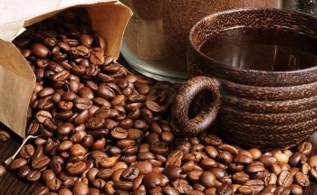 Giá cà phê mới nhất ngày 17/10/2023: Thị trường trong nước ổn định, giá cao nhất 63.700 đồng/kg