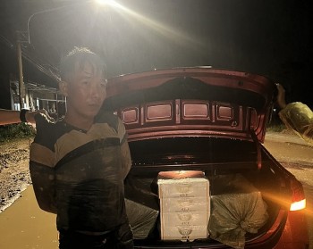 Bản tin Chống buôn lậu 17/10: Long An bắt giữ 8.700 gói thuốc lá nhập lậu; tiêu hủy 4 tấn thuốc shisa