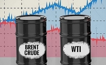 Giá xăng dầu hôm nay ngày 18/10/2023: Giá dầu WTI, dầu Brent bất ngờ tăng trở lại