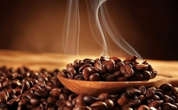 Giá cà phê mới nhất ngày 18/10/2023: Thị trường trong nước tăng nhẹ 100 đồng/kg