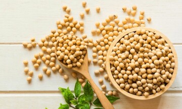 Đà tăng của giá đậu tương bị hạn chế ở vùng kháng cự tâm lí 1300