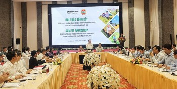 Canh tác lúa thân thiện với môi trường giúp giảm phát thải khí nhà kính