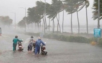 Thông tin mới nhất về cơn bão số 5