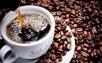 Giá cà phê mới nhất ngày 20/10/2023: Thị trường trong nước giảm mạnh từ 7000-7.100 đồng/kg