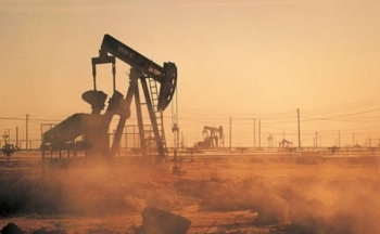 Thị trường nông sản diễn biến ảm đạm, giá dầu duy trì đà tăng