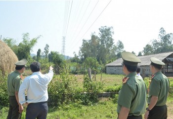 Bình Định: Xử lý hiệu quả vi phạm hành chính trong lĩnh vực điện lực