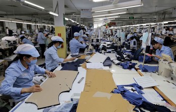 Hà Nội: Đáp ứng điều kiện về quy tắc xuất xứ tại các FTA đang là thách thức với doanh nghiệp