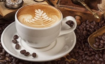 Giá cà phê mới nhất ngày 21/10/2023: Thị trường trong nước tăng đến 1.200 đồng/kg