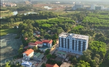 Hiện trường tháo dỡ chung cư mini gần 200 căn sai phép tại Thạch Thất, Hà Nội