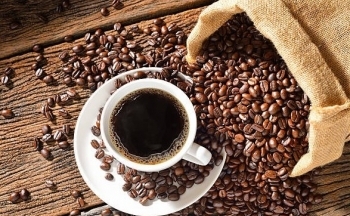 Giá cà phê mới nhất ngày 23/10/2023: Thị trường trong nước duy trì ổn định sức tăng