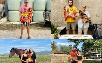 Độc lạ “ngựa vàng mã”: Phổ thông tại Việt Nam nhưng “không tầm thường” trên thế giới