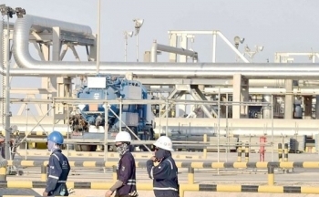 Giá xăng dầu hôm nay ngày 24/10/2023: Giá dầu WTI, dầu Brent suy giảm mạnh