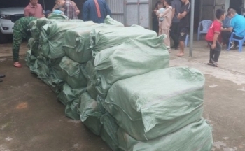 Quảng Ninh: Bắt giữ hơn 1,7 tấn trứng gà non đông lạnh nhập lậu