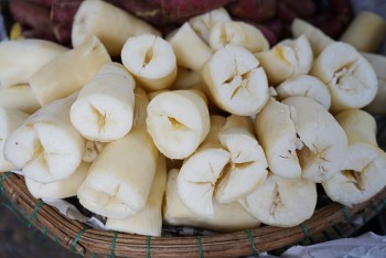 Ăn sắn như thế nào cho đúng cách và tốt cho sức khỏe?