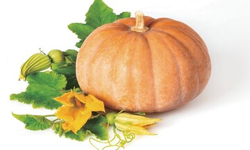 Bí đỏ có giá trị dinh dưỡng như thế nào?