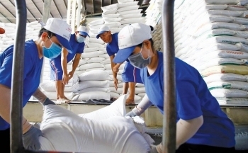 Giá gạo Việt cao kỷ lục, kim ngạch xuất khẩu lập đỉnh mới