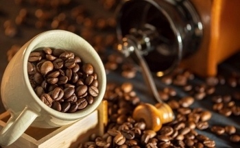 Giá cà phê mới nhất ngày 26/10/2023: Thị trường trong nước giảm 200 - 300 đồng/kg