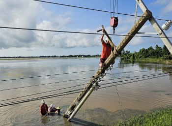 Ngành điện Long An: Gồng mình xuyên đêm khắc phục sự cố điện do thiên tai