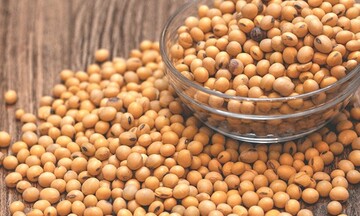 Nhóm đậu tương diễn biến trái chiều, giá dầu thô giảm nhẹ trong phiên sáng