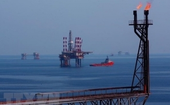 Công bố Top 500 doanh nghiệp lợi nhuận tốt nhất Việt Nam năm 2023