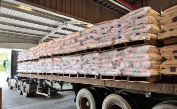 Lượng tiêu thụ Phân bón Phú Mỹ tăng 12% so với cùng kỳ