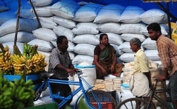 Thuế xuất khẩu khiến giá gạo Ấn Độ giảm tuần thứ tư liên tiếp