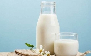 Có nên uống sữa khi chưa ăn sáng?