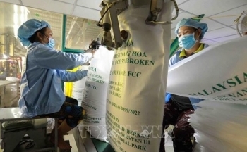 Giá gạo xuất khẩu tiếp nối đà tăng