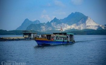 Yên Bái: Gần 70 doanh nghiệp thành lập mới trong quý đầu tiên 2024