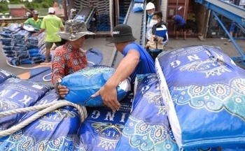 Nhu cầu từ thị trường Indonesia đẩy giá gạo của Việt Nam tăng cao
