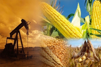 Thị trường hàng hóa hôm nay ngày 30/10/2023: Giá ngô đứt chuỗi tăng 5 tuần liên tiếp, giá dầu hạ nhiệt